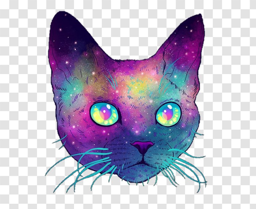 Whiskers Cat Illustrator Kitten - Art Transparent PNG