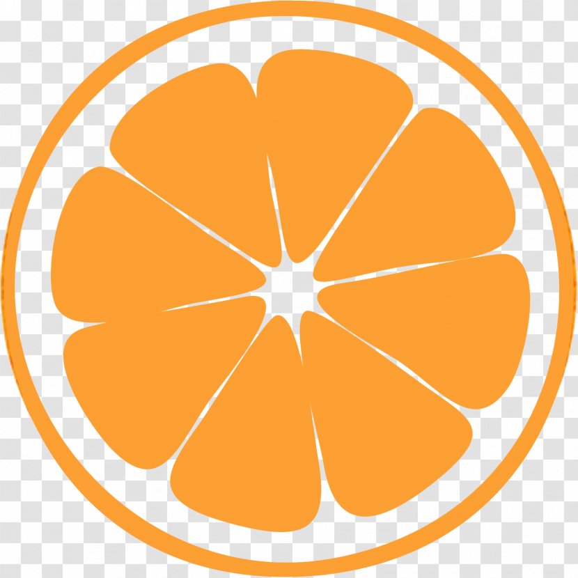 Drawing Lemon Orange - Organism - Apricot Transparent PNG