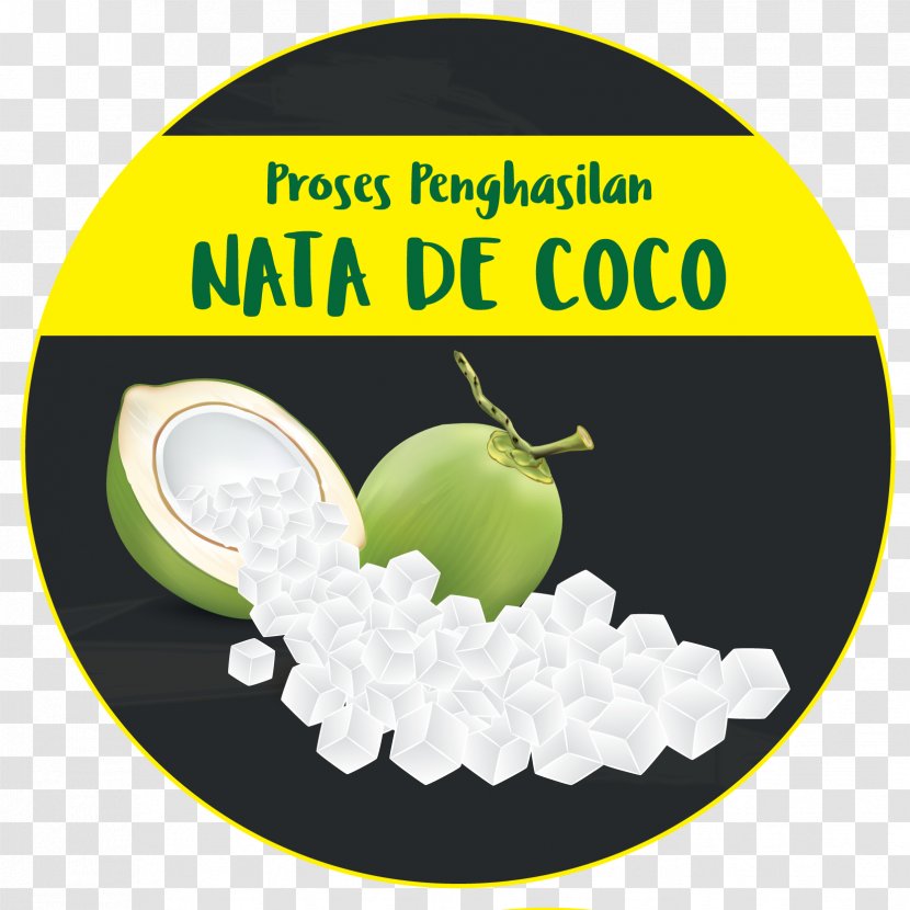 Green Brand Font - Nata De Coco Transparent PNG