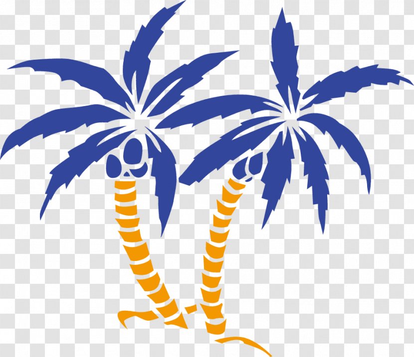 Euclidean Vector - Palm Tree - Coconut Material Transparent PNG
