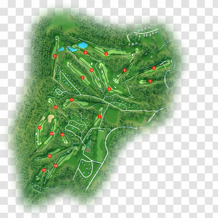 Souillac, Lot Dordogne Golf Course Hole - Fir - Bos Transparent PNG