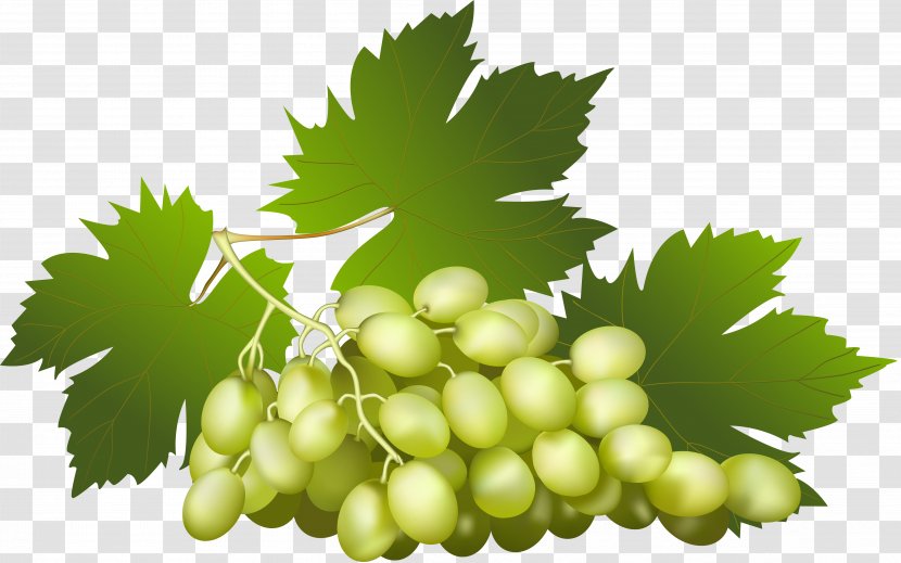 Juice Wine Grape Fruit - Grapes Transparent PNG