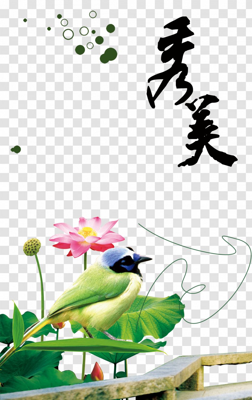 China Google Images - Lotus Chinese Style Transparent PNG