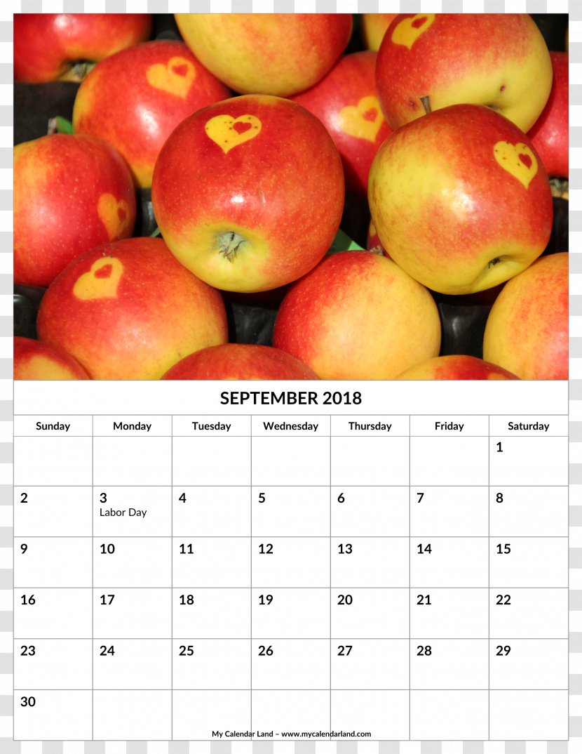 Apple Cider Vinegar Caramel Fruit - Calendar - Love Dumplings Transparent PNG
