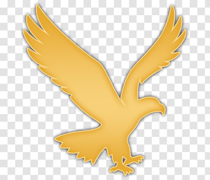 Bald Eagle Logo Clip Art - Ministers For Christ Transparent PNG