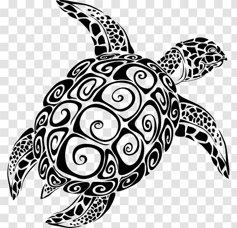 Sea Turtle Vector Graphics The Image - Royaltyfree Transparent PNG