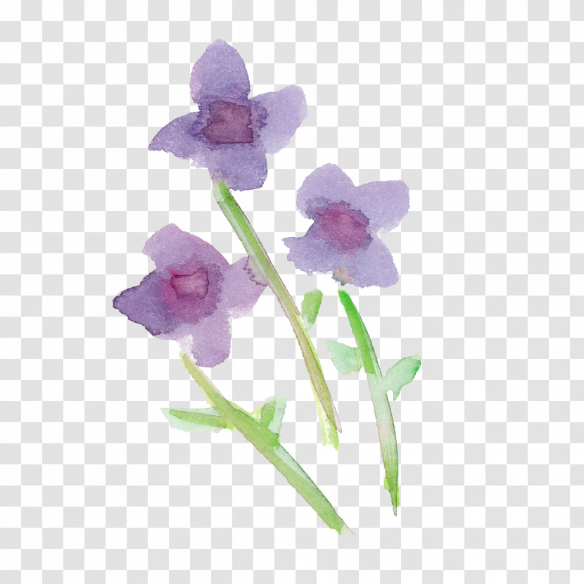 Flower Violet Plant Purple Petal Transparent PNG