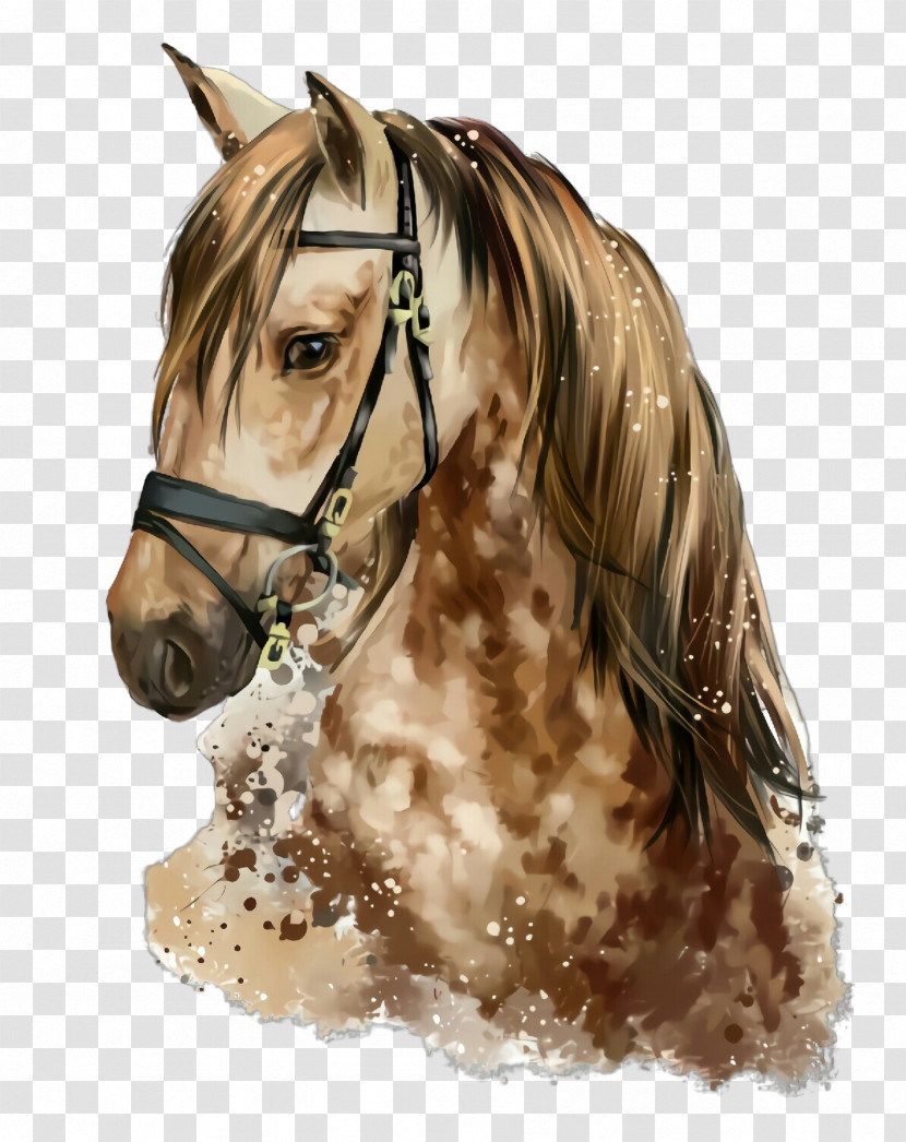 Horse Hair Mane Stallion Bridle Transparent PNG