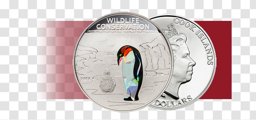Flightless Bird Currency - Nature Conservation Transparent PNG