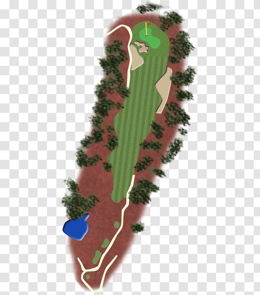 Green Pine Family Leaf - Golf Club Transparent PNG