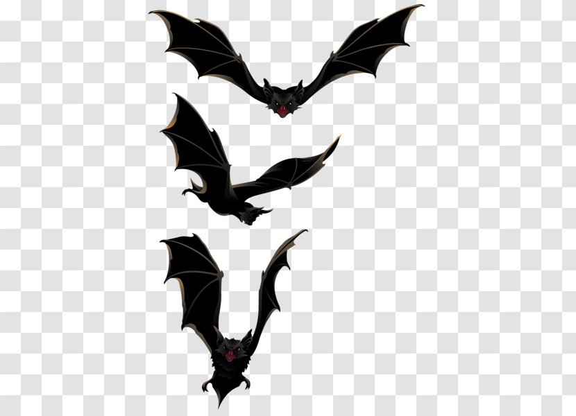 Bat Halloween Clip Art - Mammal - Bats Fly Transparent PNG