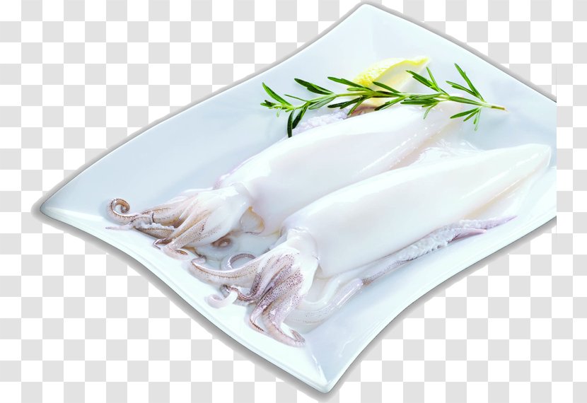 Squid As Food Fish Seafood - Tableware Transparent PNG