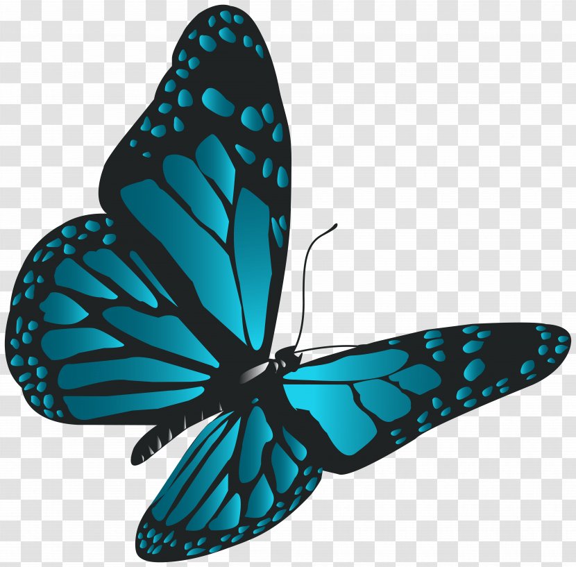 Monarch Butterfly Clip Art - Brush Footed - Blue Transparent PNG
