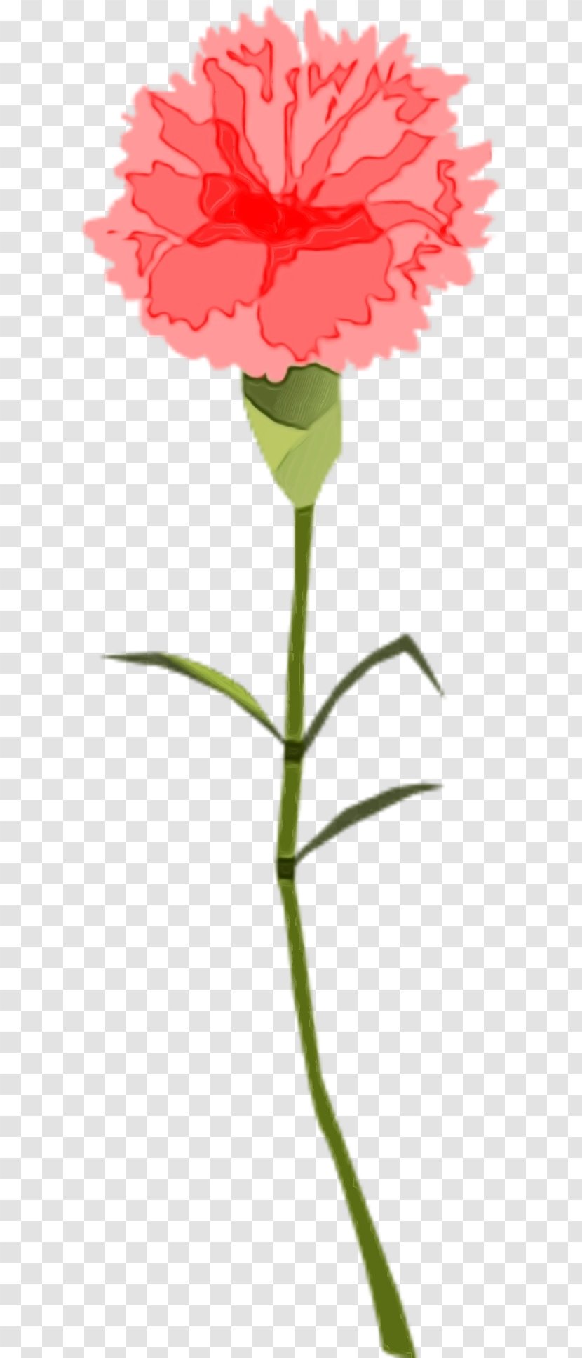 Flower Plant Stem Leaf Pedicel - Cut Flowers Bud Transparent PNG