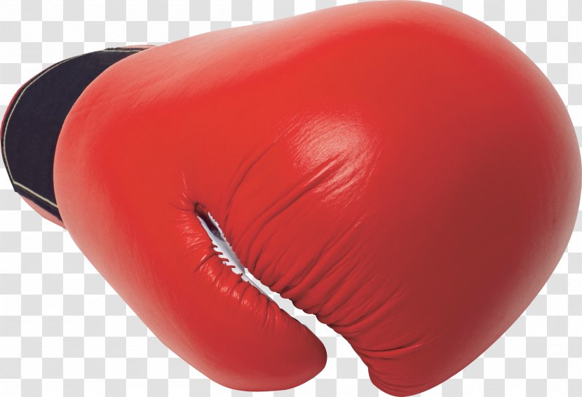 Boxing Glove Sport Punching & Training Bags - Everlast Transparent PNG