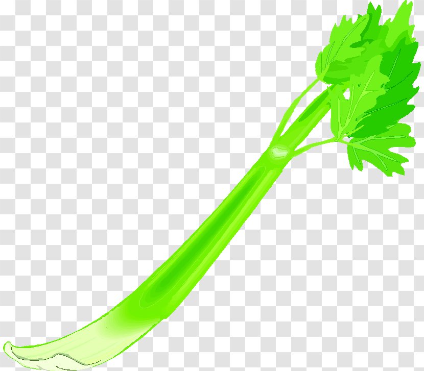 Photography Celeriac Clip Art - Celery Transparent PNG