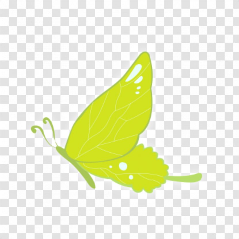 Green - Butterfly Transparent PNG