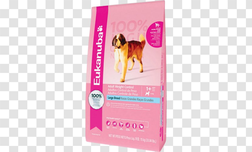 Rottweiler Eukanuba French Bulldog Puppy - Breed Transparent PNG