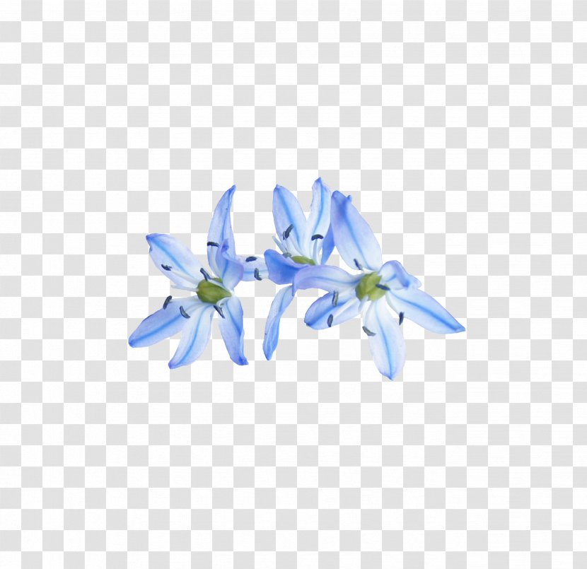 Petal Cut Flowers Bellflowers - Flower - Collage Transparent PNG