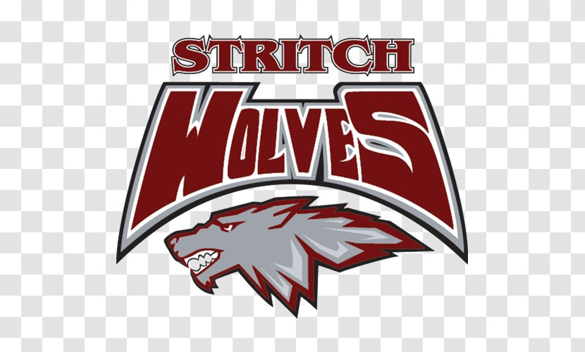 Cardinal Stritch University Worcester Polytechnic Institute Wolves Men's Basketball Women's Concordia Chicago - Fictional Character - Coaching 4 Christ Transparent PNG