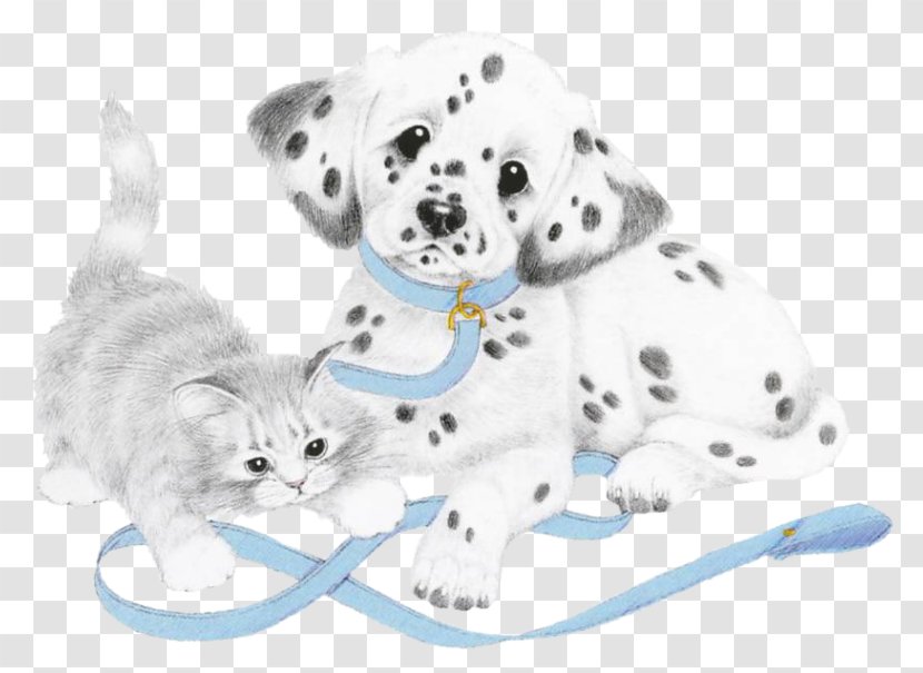 Dalmatian Dog Puppy Kitten Breed Cat - Mammal Transparent PNG