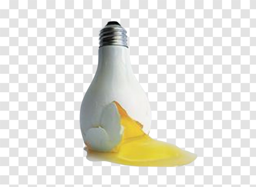 Innovation Creativity - Photography - Bulb Egg Design Transparent PNG