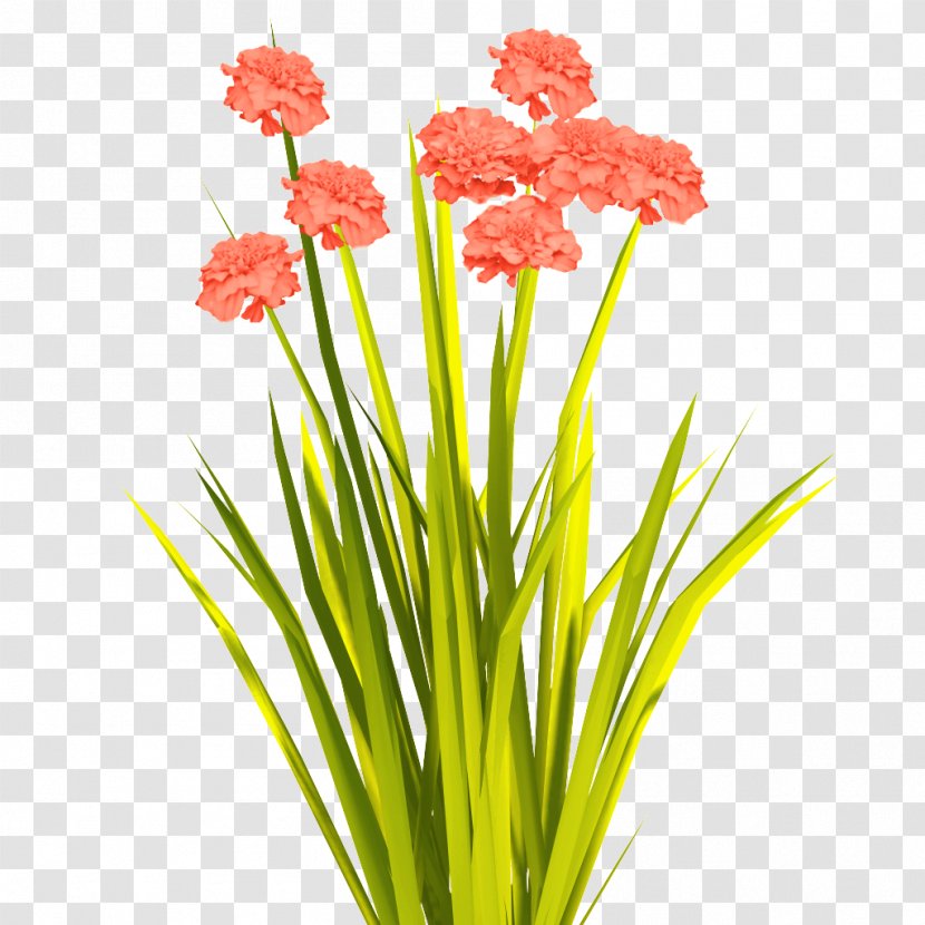 Artificial Flower - Gladiolus - Petal Transparent PNG