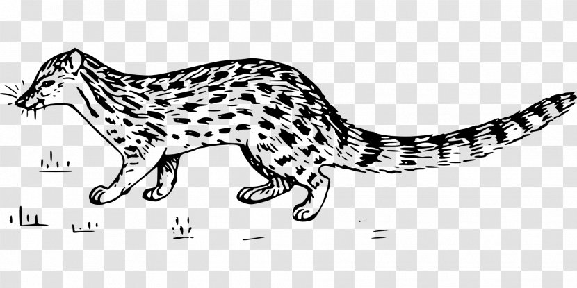Whiskers Wildcat Cheetah Leopard - Mammal - Cat Transparent PNG
