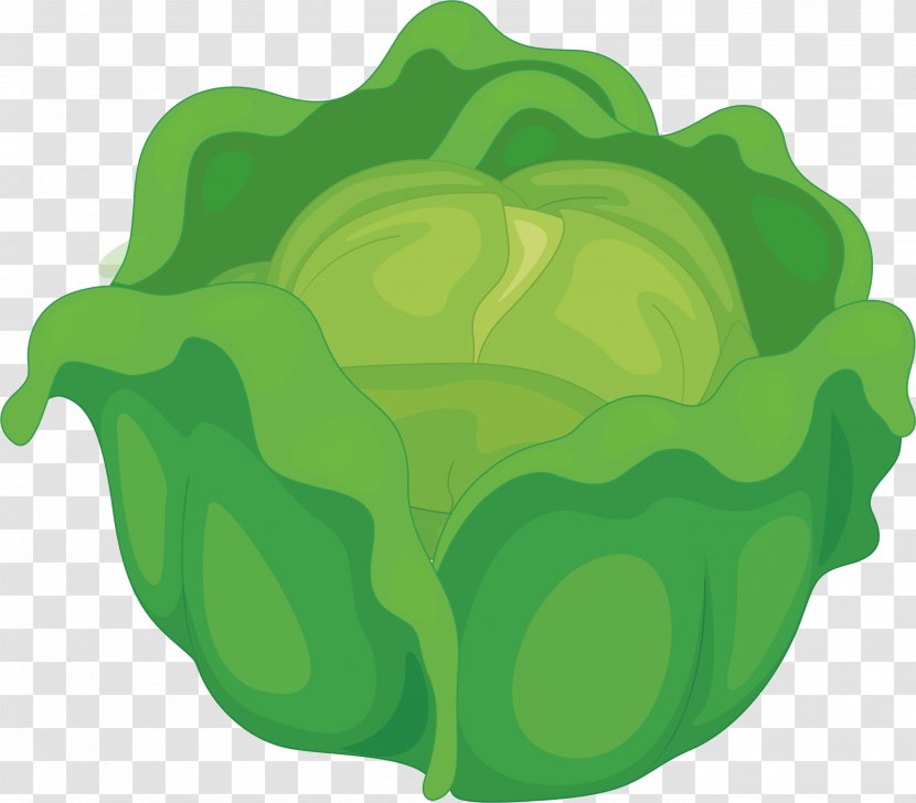 Cabbage Vegetable Computer File - Brassica Oleracea - Green Transparent PNG