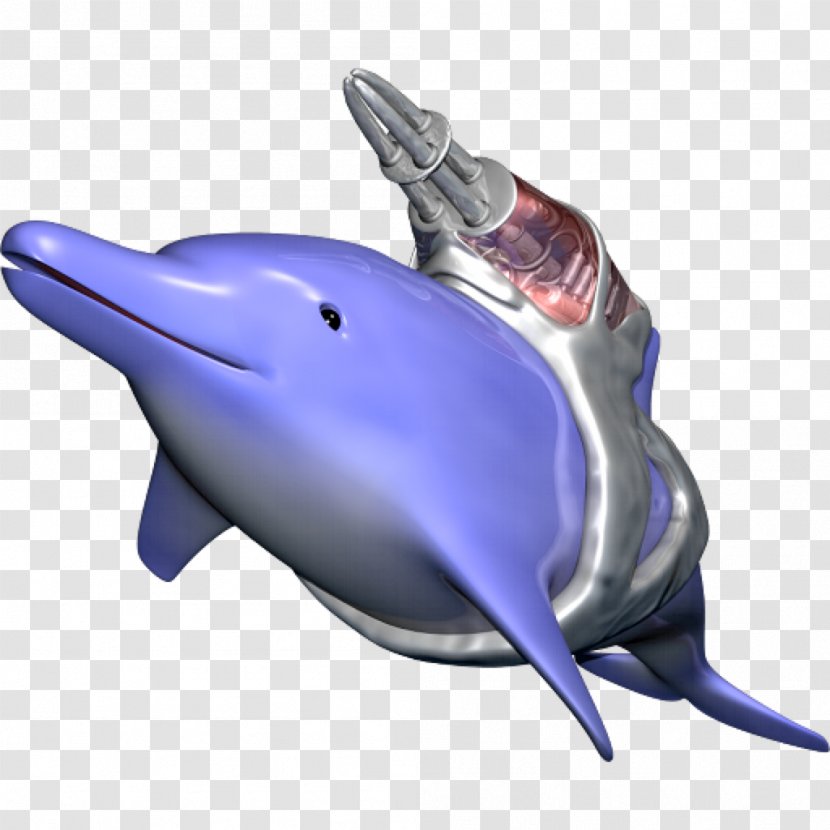 Common Bottlenose Dolphin Tucuxi Short-beaked Wholphin Transparent PNG