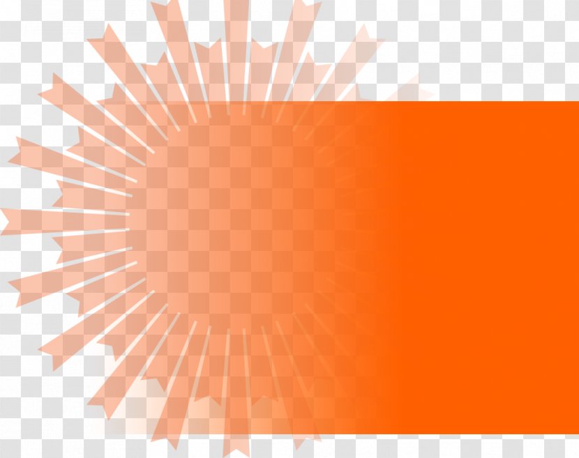 Fat Fancy Fashion Orange Clothing - Title Transparent PNG