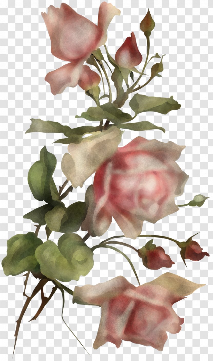 Rose - Pink - Sweet Pea Bouquet Transparent PNG