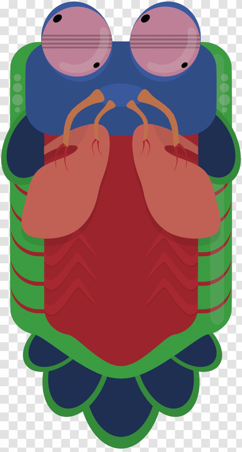 Concept Art Mantis Shrimp Nautilidae Transparent PNG