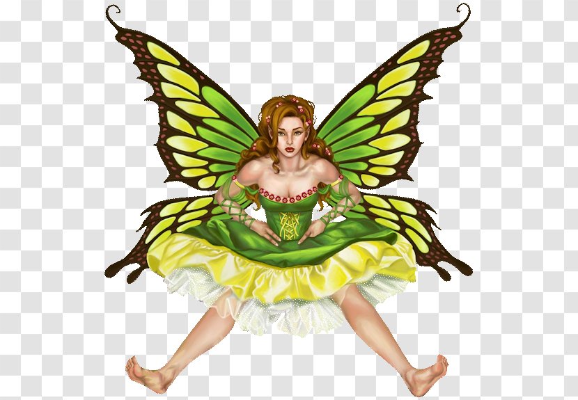 Fairy Elf Duende Fantasy - Insect - Elfo Transparent PNG