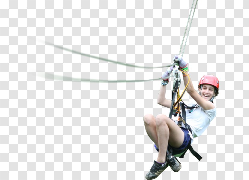 Climbing Harnesses Zip-line Extreme Sport Belay & Rappel Devices Belaying - Cartoon - ZipLine Transparent PNG