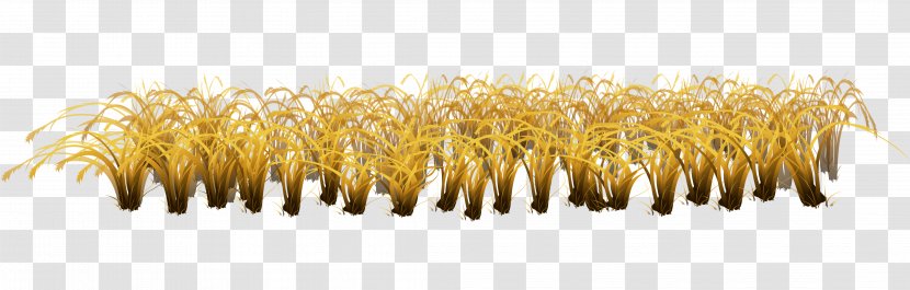 Yellow Commodity Grasses Family - Bacillus Vector Material Autumn Grass Weeds Transparent PNG