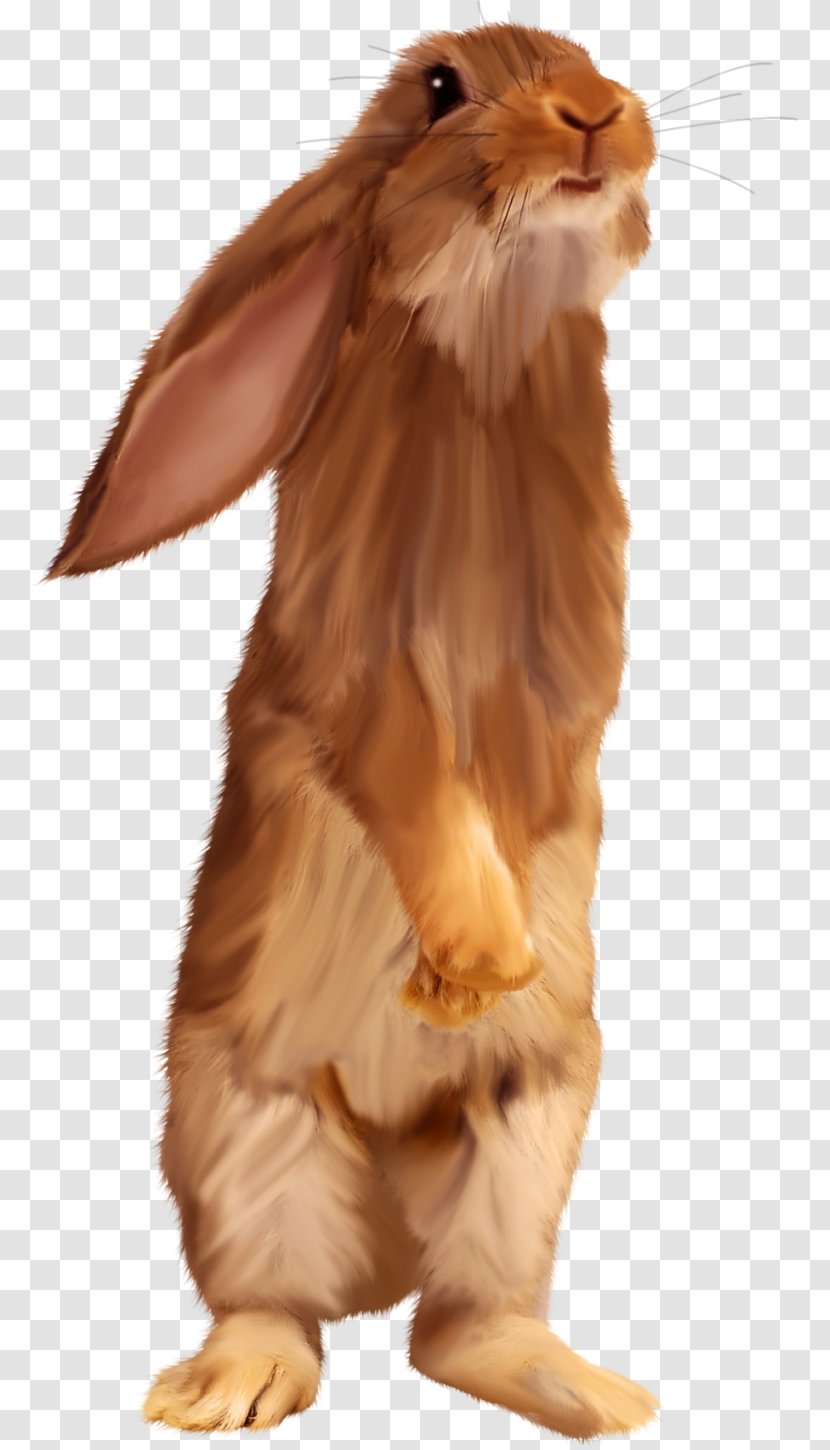Easter Bunny Rabbit Clip Art - Tiff - Brown Transparent PNG
