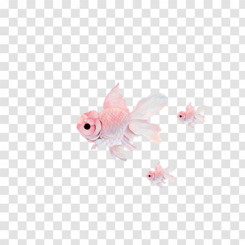 Oranda Fantail Ryukin Pearlscale Comet - Goldfish Transparent PNG