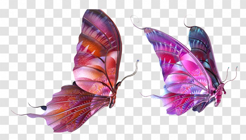 Butterfly Clip Art - Butterflies And Moths Transparent PNG