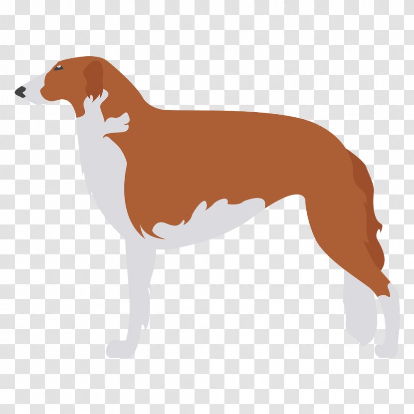 Italian Greyhound Spanish Whippet Azawakh - Staffordshire Bull Terrier Transparent PNG