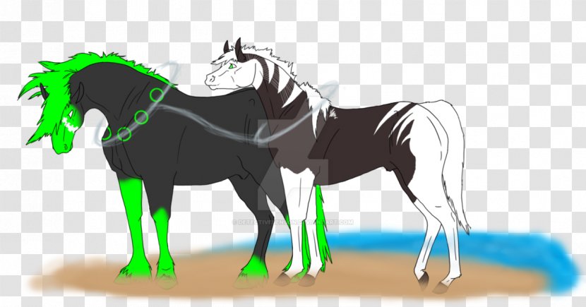 Mustang Stallion Foal Colt Mare - Bridle Transparent PNG