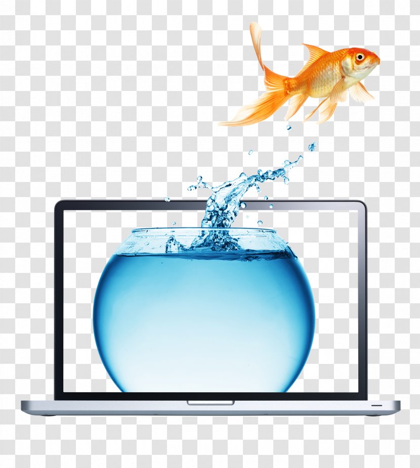 Carassius Auratus Stock Photography Royalty-free - Goldfish And Laptop Transparent PNG