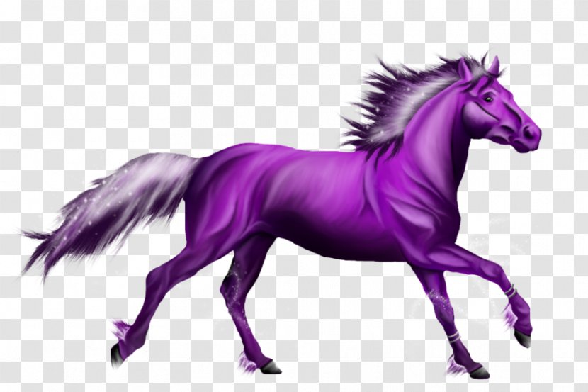Friesian Horse Mustang American Quarter Pony Stallion - Unicorn - Fire Transparent PNG