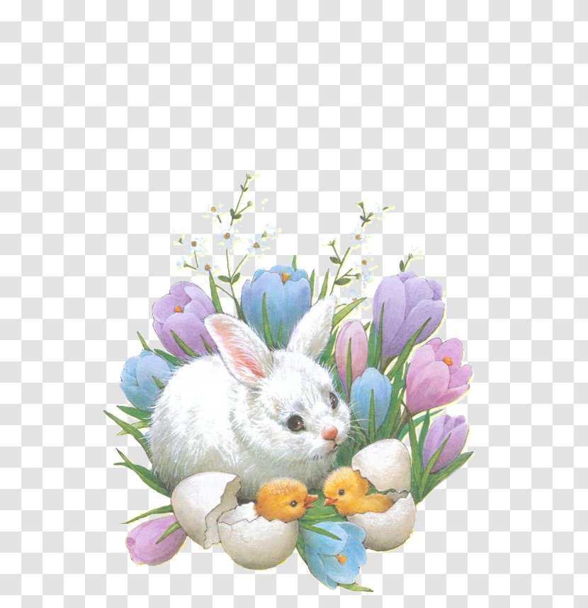 Easter Bunny Happiness Happy Wallpaper - Egg - Flowers Rabbit Transparent PNG