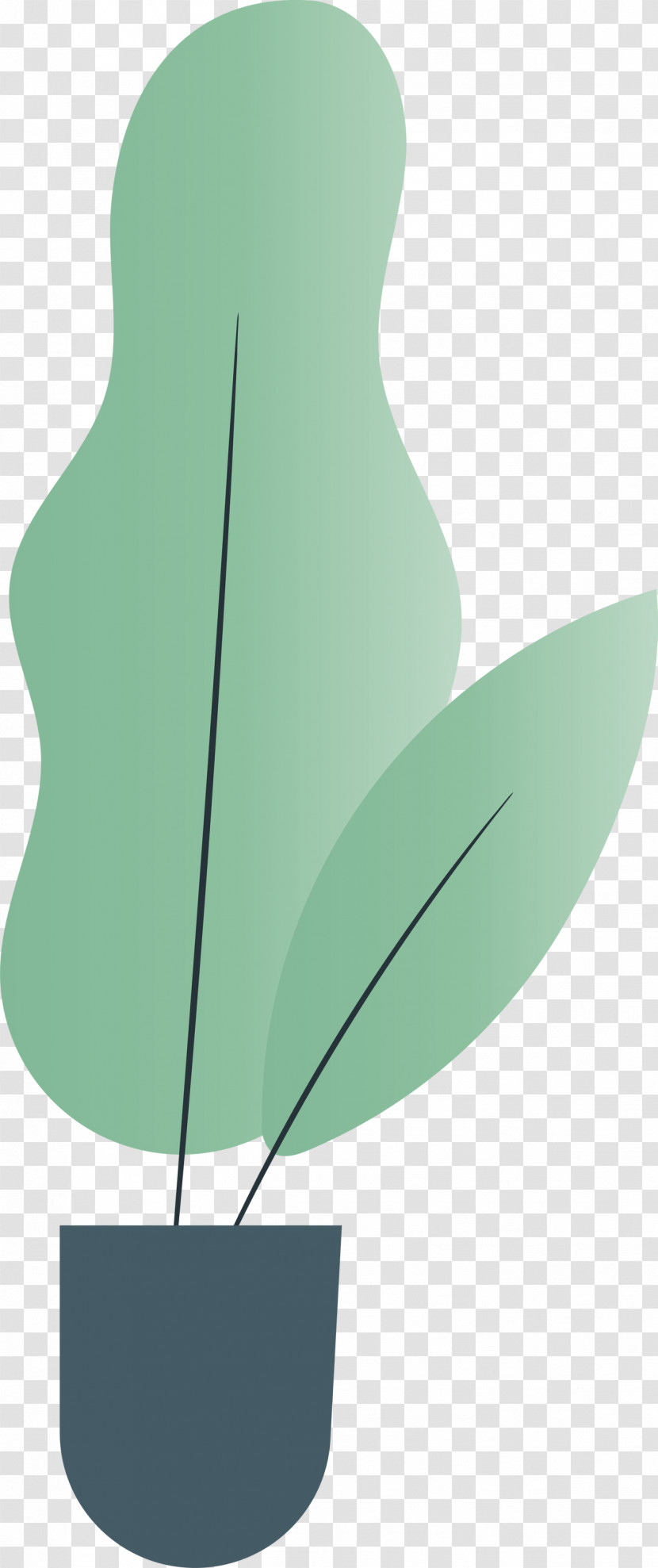 Leaf Green Font Flower Plants Transparent PNG