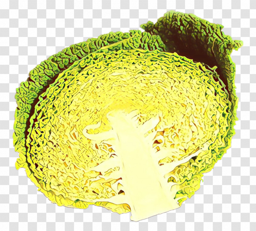 Yellow Cabbage Plant Transparent PNG