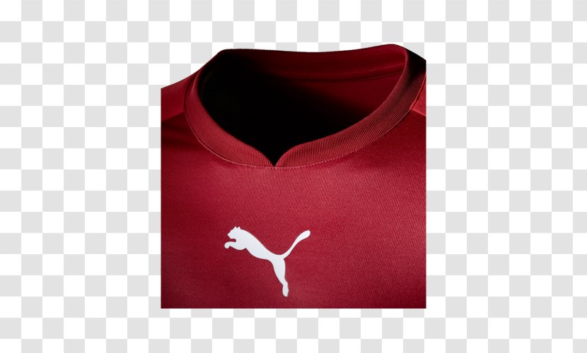 UEFA Euro 2016 France National Football Team T-shirt Kit - Sleeve Transparent PNG