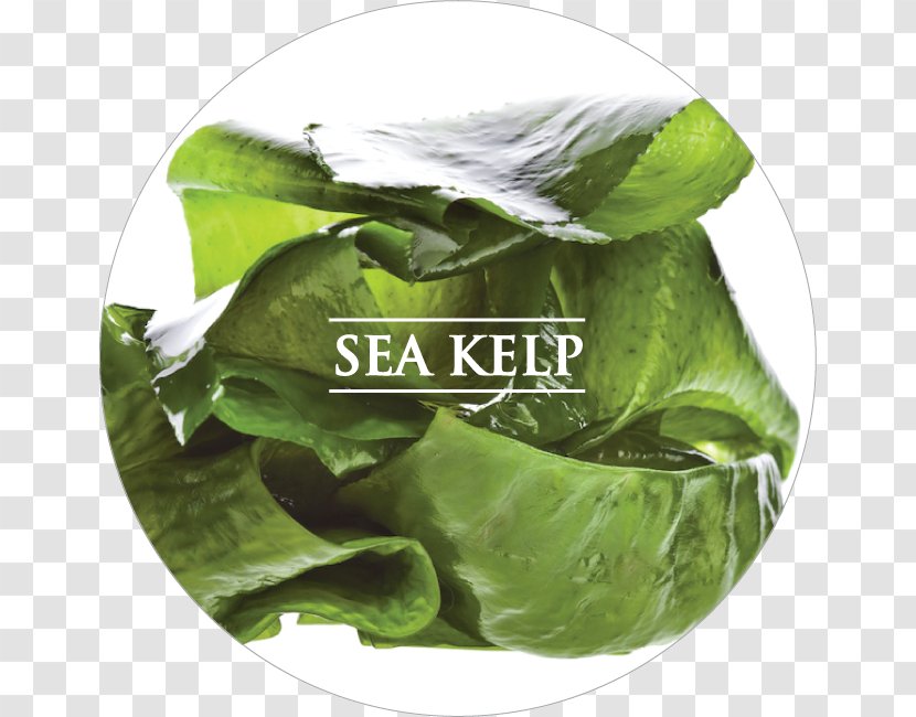 Algae Fuel Seaweed Docosahexaenoic Acid Omega-3 Fatty Acids Dietary Supplement - Health - Kelp Transparent PNG