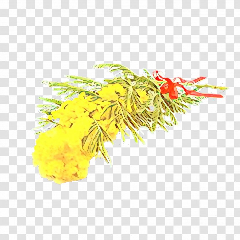 Yellow Flower Plant Goldenrod Transparent PNG