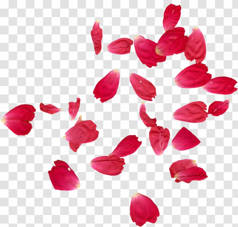 Faridabad Petal Rose Flower Henna - Green - Falling Petals Transparent PNG
